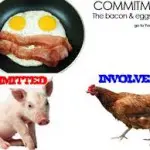 The chicken is involved, but the Pig is Committed .